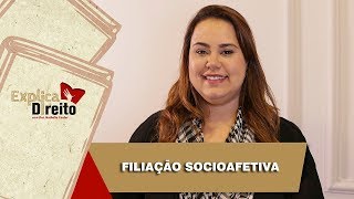 Explica Direito Filiação Socioafetiva  2019 [upl. by Ikilisav]